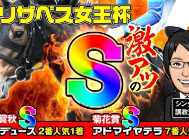 【エリザベス女王杯 2024 予想】S評価がGⅠ2連続好走中！文句ナシのデキにある調教Sは必見です！
