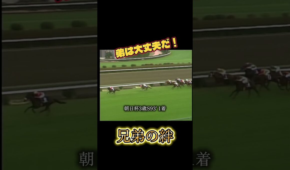 兄弟の絆 #競馬 #g1 ＃朝日杯＃皐月賞＃ダービー＃菊花賞＃ナリタブライアン＃ビワハヤヒデ＃兄弟＃絆＃感動