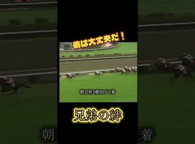兄弟の絆 #競馬 #g1 ＃朝日杯＃皐月賞＃ダービー＃菊花賞＃ナリタブライアン＃ビワハヤヒデ＃兄弟＃絆＃感動