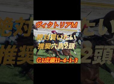 ヴィクトリアマイル2026絶対買いたい推奨穴馬2頭紹介