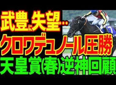 【異次元の能力！クロワデュノール僅差圧勝！】能力が適性を越える瞬間をクロワデュノールが見せてくれた！これは伝説だ！アドマイヤテラ武豊への不満と穴馬逆神芸…2026年天皇賞(春)回顧動画【競馬ゆっくり】
