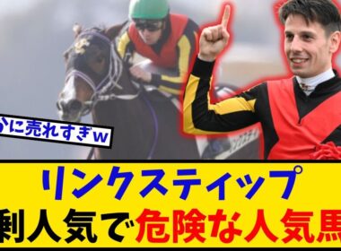 【エリザベス女王杯】「リンクスティップ 過剰人気すぎて危険な人気馬だよな… 」に対するみんなの反応【反応集】