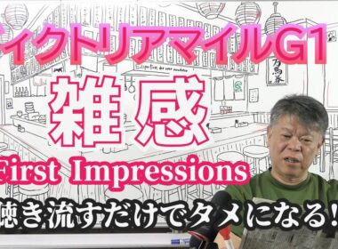【ヴィクトリアマイル2026】予習動画  今年のヴィクトリアマイルはどんな馬達のレース！？先ずは全頭を雑感にてお伝えします！