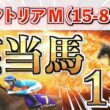 【ヴィクトリアマイル2026 予想】また大穴ブチ抜く‼️想定11番人気＋鉄板馬を狙い撃つ！【競馬予想】