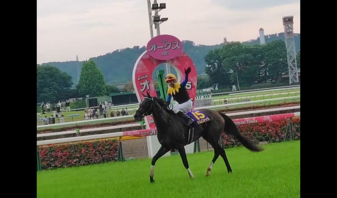 第86回優駿牝馬(オークス)〜カムニャック