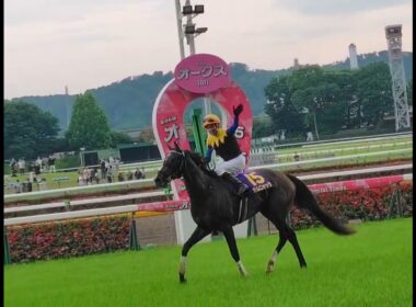 第86回優駿牝馬(オークス)〜カムニャック