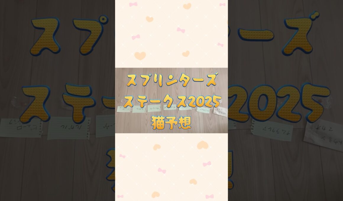 スプリンターズステークス 2025 猫予想 #vtuber #スプリンターズ #shorts
