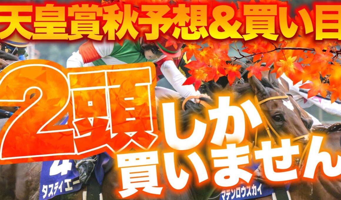 【天皇賞秋予想】混戦の天皇賞秋でメンバートップレベルの力を誇る2頭に絞った買い目とは！？
