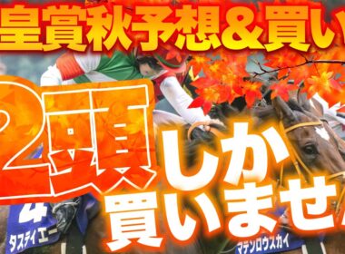【天皇賞秋予想】混戦の天皇賞秋でメンバートップレベルの力を誇る2頭に絞った買い目とは！？