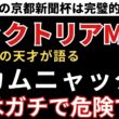 【ヴィクトリアマイル2026 予想】カムニャックは軸危険？人気馬の不安点と買い替え候補を解説！先週の京都新聞杯は完璧的中🎯重賞9週連続的中