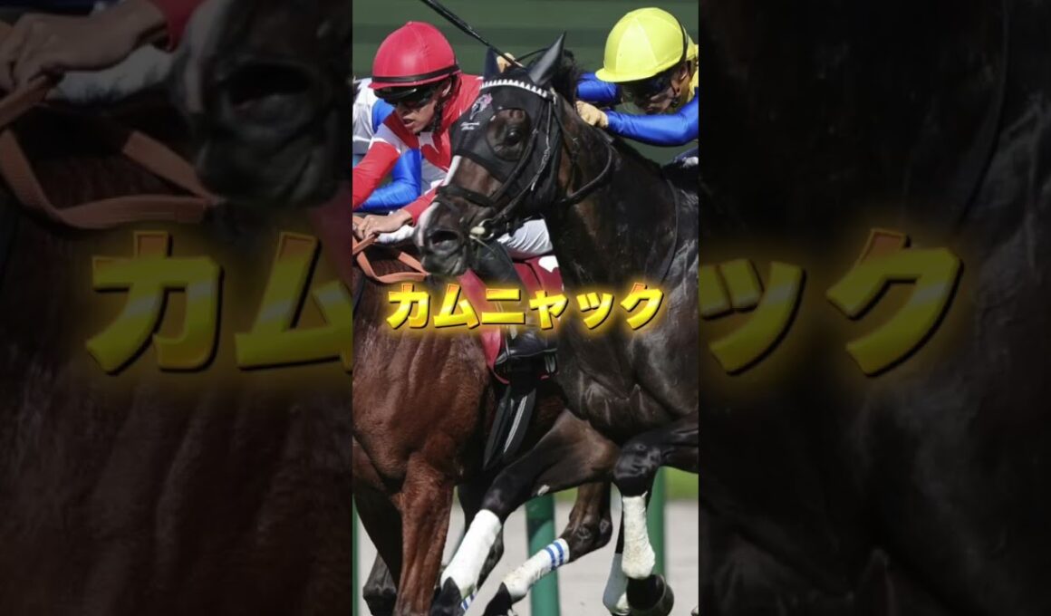 G1ヴィクトリアマイルの注目馬を3頭紹介＃競馬＃競馬予想＃エンブロイダリー＃カムニャック＃クイーンズウォーク
