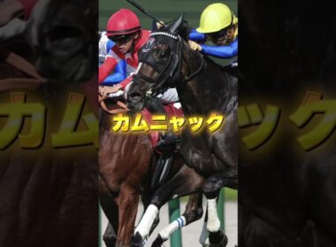 G1ヴィクトリアマイルの注目馬を3頭紹介＃競馬＃競馬予想＃エンブロイダリー＃カムニャック＃クイーンズウォーク