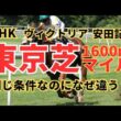 東京マイルG1の構造｜ヴィクトリアは「内」安田は「速」が答えか？