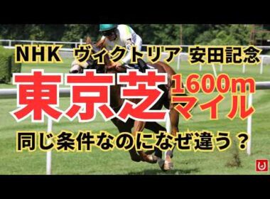 東京マイルG1の構造｜ヴィクトリアは「内」安田は「速」が答えか？