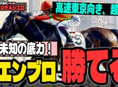 【ヴィクトリアマイル2026】「テンハッピーローズ、再び」高速東京マイルで輝く穴馬【ジョスラン】