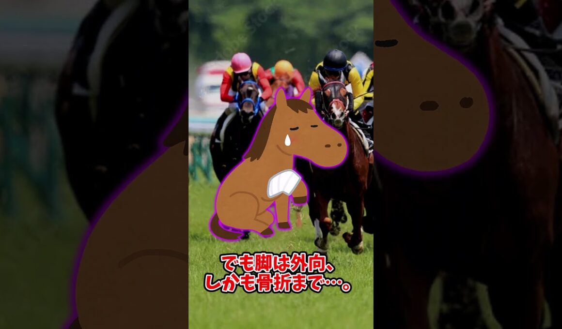 【スーパースター武豊爆誕！宿命の血が導いた菊花賞】