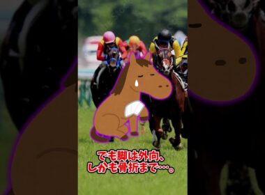 【スーパースター武豊爆誕！宿命の血が導いた菊花賞】