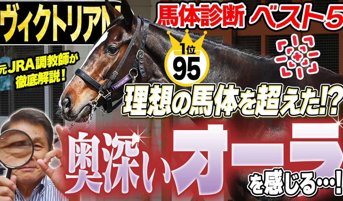 【ヴィクトリアマイル2026】上位陣にオーラを感じる！？中村均元調教師が馬体診断ベスト５を発表 ！《東スポ競馬》