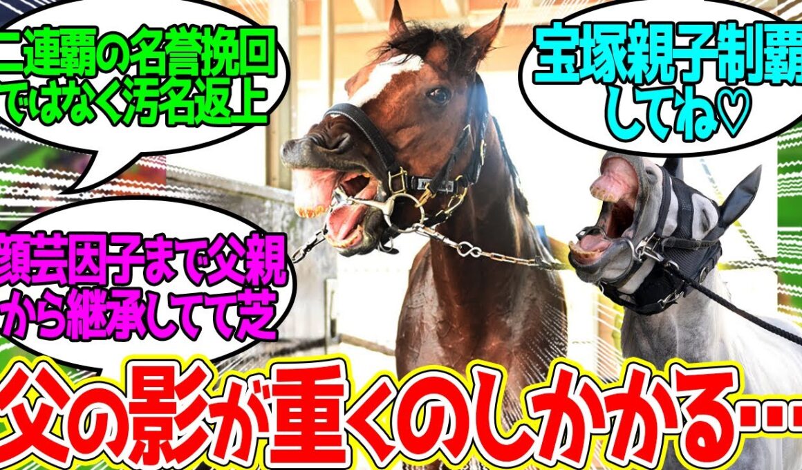 【宝塚記念】メイショウタバル ← 親父の無念を晴らすべく一頭の産駒が立ち上がる！に対するみんなの反応！【競馬 の反応集】