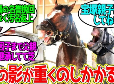 【宝塚記念】メイショウタバル ← 親父の無念を晴らすべく一頭の産駒が立ち上がる！に対するみんなの反応！【競馬 の反応集】
