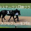 【天皇賞(秋)を狙える】アスクセクシーモア(牡4)が府中ステークス(3勝クラス)を優勝❗パドック、レースの様子