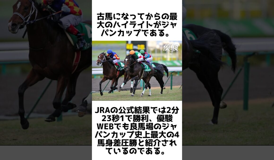 菊花賞→JC圧勝→名種牡馬！エピファネイアの雑学5選 #競馬 #shorts #1分雑学 #エピファネイア #馬