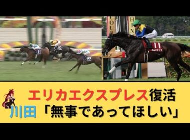 【秋華賞2025】エリカエクスプレス復活＆カムニャック川田「まずは無事であってほしいです」