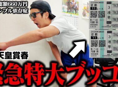 【的中の嵐】爆勝ちしたので払戻全額をクロワデュノールとアドマイヤテラにツッコんだ！２頭とも馬券内で大パニック！？＜G1天皇賞春＞