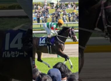 第31回NHKマイルカップ 返し馬