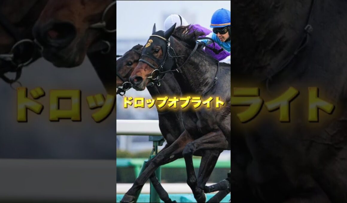 G1ヴィクトリアマイルの穴馬を3頭紹介＃競馬＃競馬予想＃ニシノティアモ＃マピュース＃ドロップオブライト
