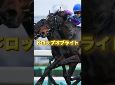 G1ヴィクトリアマイルの穴馬を3頭紹介＃競馬＃競馬予想＃ニシノティアモ＃マピュース＃ドロップオブライト