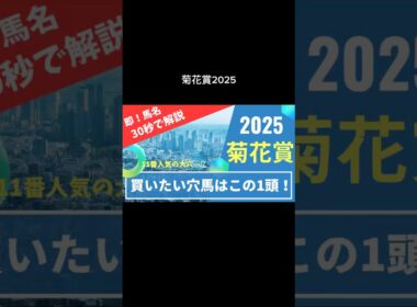 【菊花賞2025】買いたい穴馬即発表！30秒演説