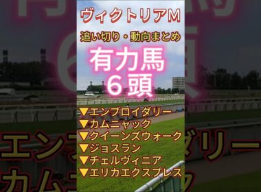【 ヴィクトリアマイル 2026 】１週前追い切り#競馬予想 #shorts #競馬 #エンブロイダリー #カムニャック