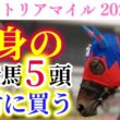 【ヴィクトリアマイル 2026】覇権を狙う2冠牝馬と復活を期する2冠牝馬が激突！絶対に買いたい渾身の推奨馬！！【出走馬徹底考察】