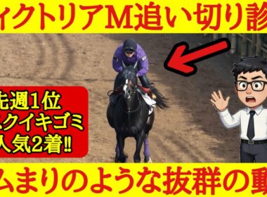【ヴィクトリアマイル2026】最終追い切り診断！体全体を柔軟に使って弾んだ走りを見せたあの馬が1位評価！