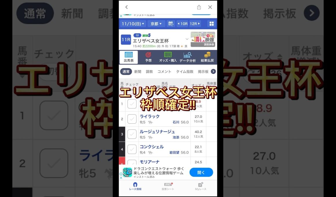 【エリザベス女王杯2024】新たなサイン馬券！？#競馬 #競馬予想 #エリザベス女王杯