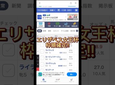 【エリザベス女王杯2024】新たなサイン馬券！？#競馬 #競馬予想 #エリザベス女王杯