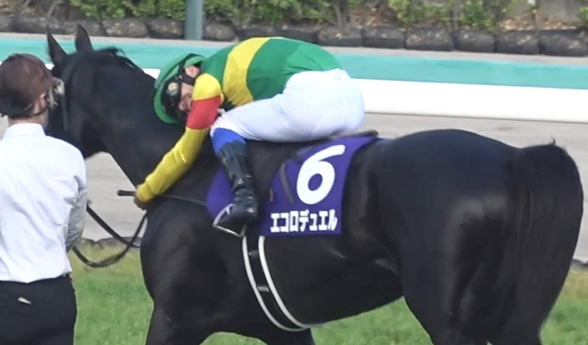 【現地 草野コール！】2026 J・GⅠ 中山グランドジャンプ エコロデュエル 草野 太郎騎手【全馬完走 レコード 中山競馬場 水沼騎手初G1完走！拍手喝采】