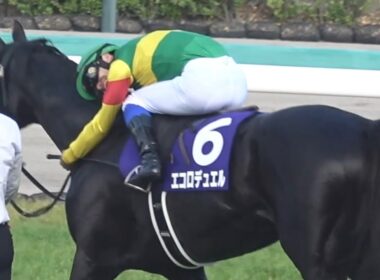 【現地 草野コール！】2026 J・GⅠ 中山グランドジャンプ エコロデュエル 草野 太郎騎手【全馬完走 レコード 中山競馬場 水沼騎手初G1完走！拍手喝采】