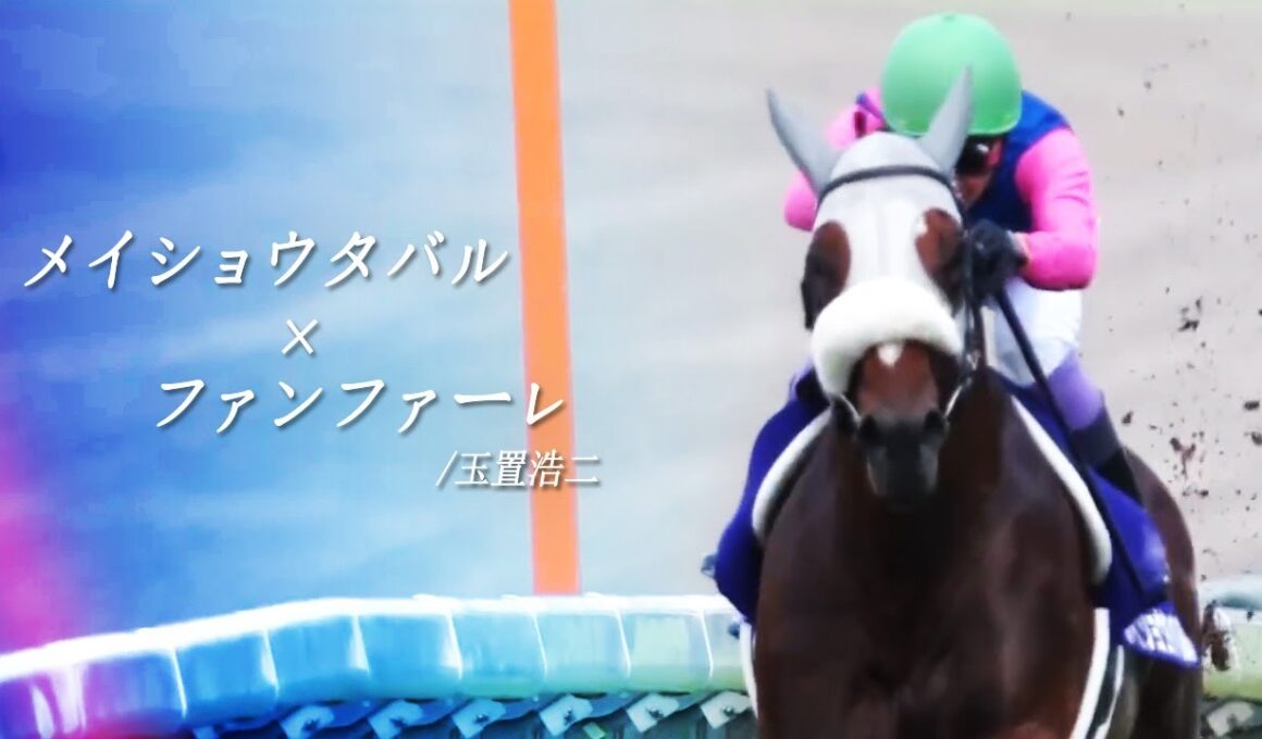 【競馬MAD】メイショウタバル×ファンファーレ/玉置浩二【メイショウ 有馬記念応援】