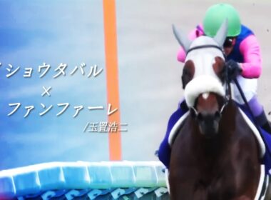 【競馬MAD】メイショウタバル×ファンファーレ/玉置浩二【メイショウ 有馬記念応援】