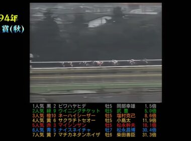 1994年天皇賞(秋)ネーハイシーザー　#競馬#天皇賞#ウマ娘#horse#1994年#ネーハイシーザー#ビワハヤヒデ#ウイニングチケット　