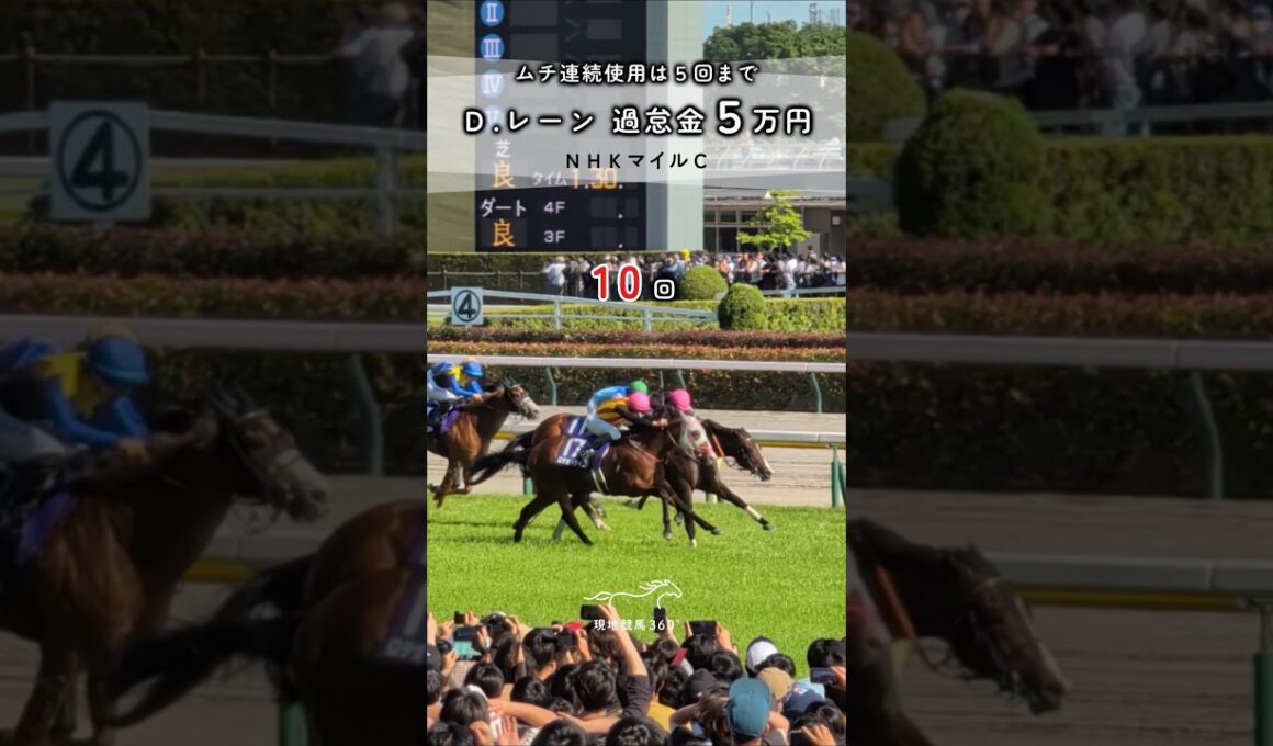 ムチ連続使用 過怠金5万円｜D.レーン NHKマイルC #競馬 #現地映像 #レーン #ロデオドライブ #過怠金