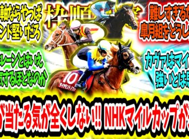 『【枠順確定】予想が当たる気が全くしない‼NHKマイルカップが来る‼』に対するみんなの反応【競馬の反応集】
