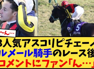 【マイルCS】3人気アスコリピチェーノ、ルメール騎手のレース後コメントにファン｢ん…｣【競馬反応集】