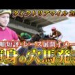【ヴィクトリアマイル2026】【レース展開】枠順確定後の渾身の穴馬とレース展開　予想•見解
