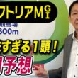 【ヴィクトリアマイル2026】元天才騎手・田原成貴が展開予想　本当に怖いのはこの馬だ《東スポ競馬》
