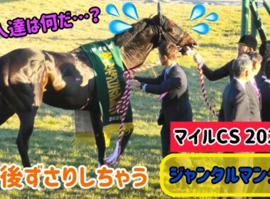 【マイルCS 2025】レースでは強くてかっこいいけど、口取りは苦手なジャンタルマンタル