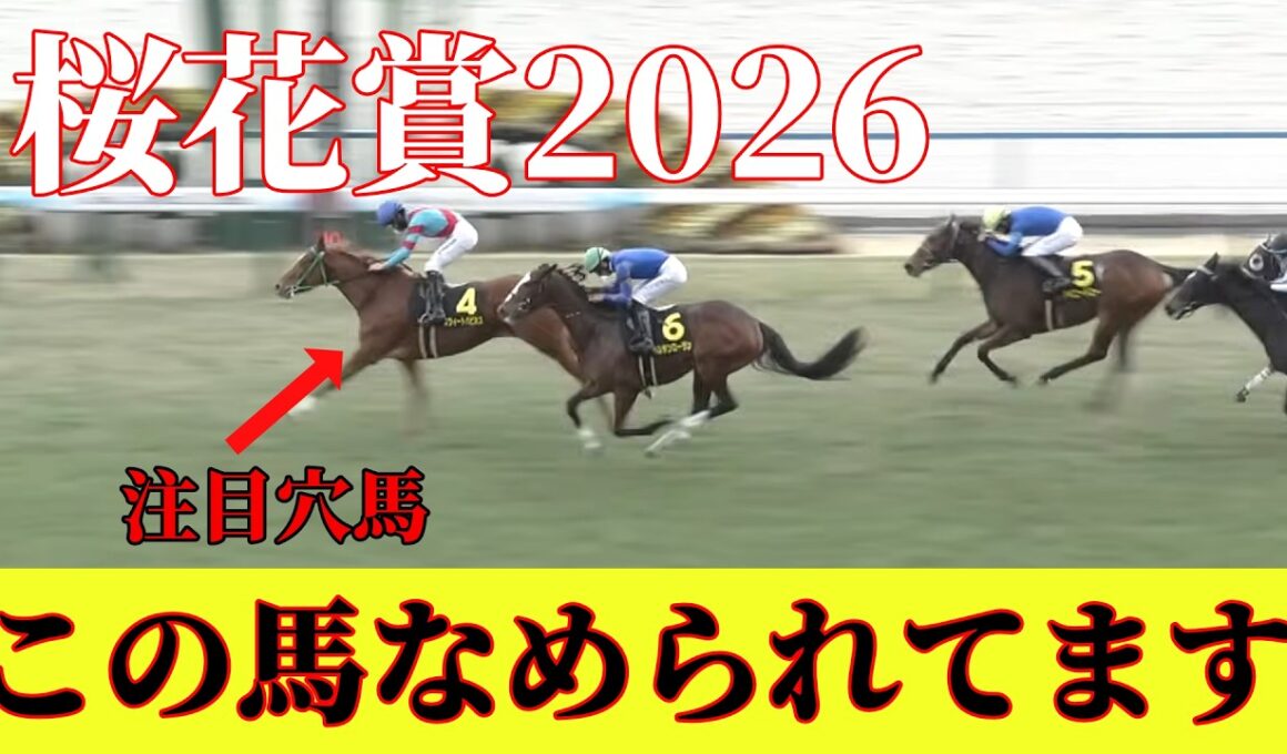 【桜花賞2026】前走とんでもない勝ち方をしたあの馬が8番人気！？そして完全に消し評価としたあの人気馬とは！？