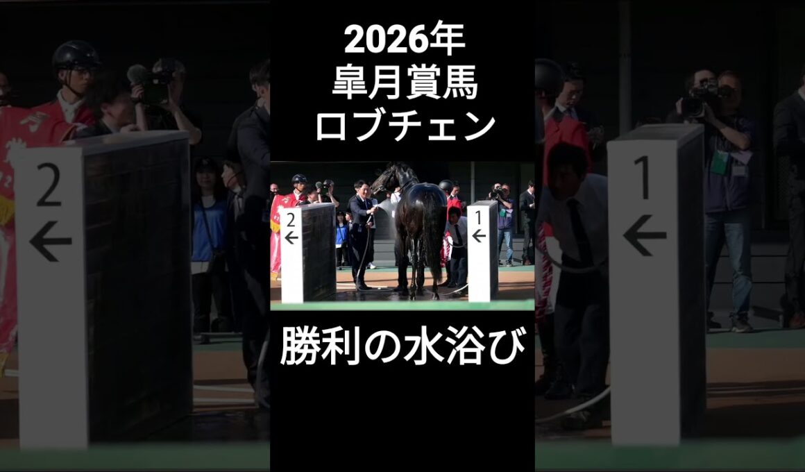 2026年皐月賞馬ロブチェン、勝利の水浴び
